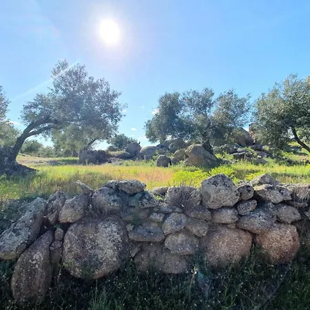 Moli D'en Salom Casa di campagna